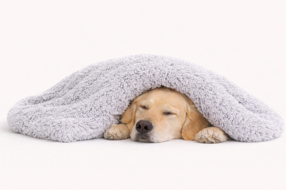 Anti-Stress Plush Blanket